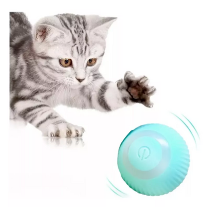 Juguete Pelota Interactiva Gatos USB