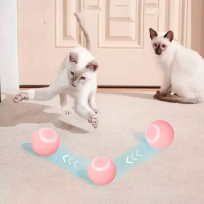 Juguete Pelota Interactiva Gatos USB