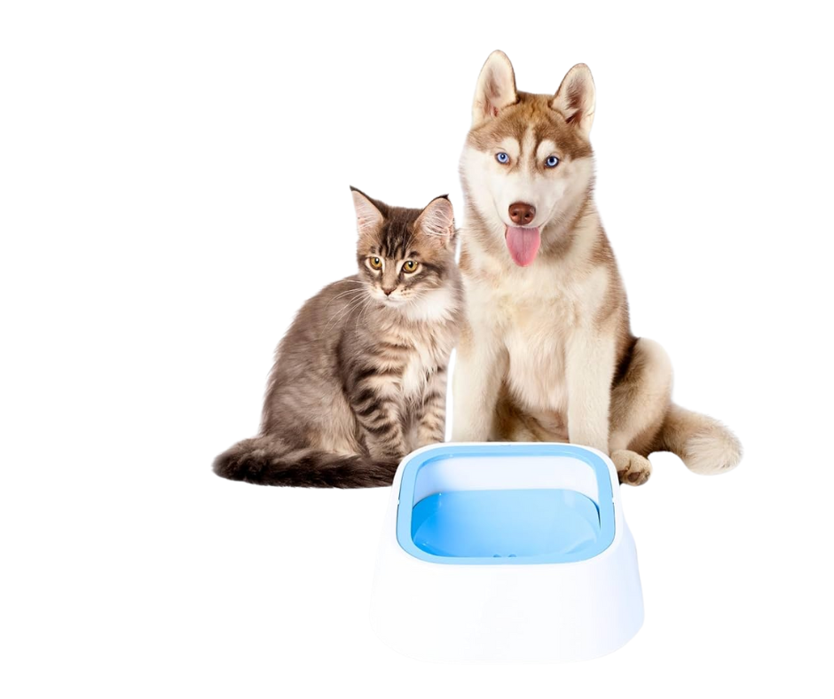 Bebedero Para Perros Y Gatos, Sin Derrame